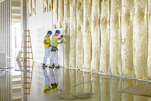 Best Residential Insulation in Lake Holiday, IN